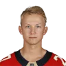 Aleksi Heponiemi