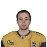Ville Heinola