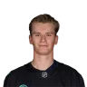 Ville Ottavainen