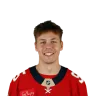 Sandis Vilmanis
