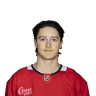 Nick Lardis