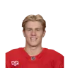 Michael Brandsegg-Nygård