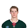 Viking Gustafsson Nyberg